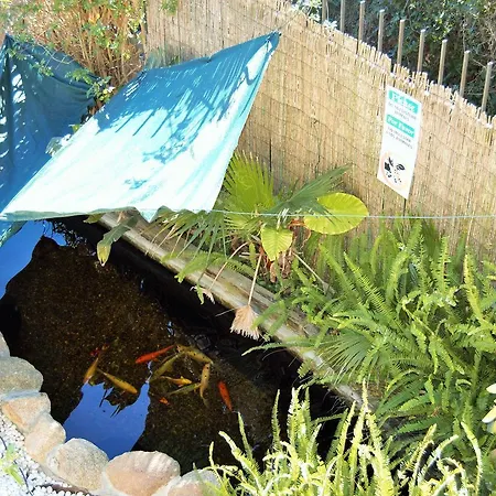 André * Lloret de Mar